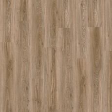 22229 Blackjack Oak