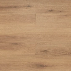 MSA93