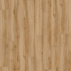 24837 Classi Oak