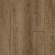 Cognac 14CM01