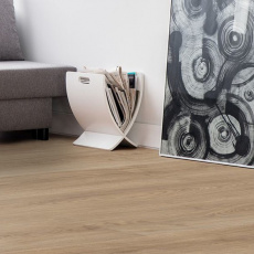 Oak Uster