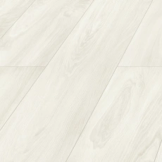 D4585EW