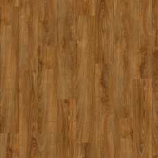 22821 Midland Oak