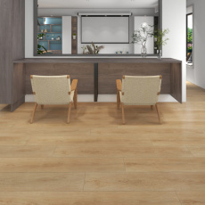 Parhan Plank Click ES1001