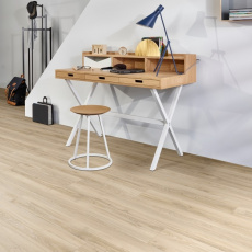 22220 Blackjack Oak