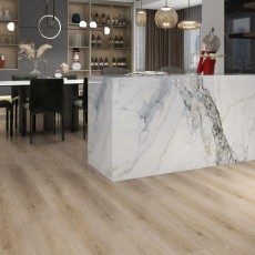 Lesatho Plank Click DM501