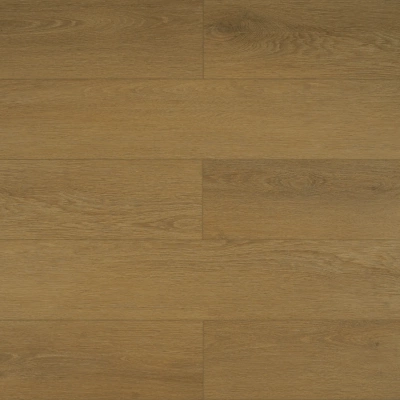 Картинка MSA113 1