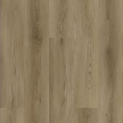 Картинка Siena 25EL26 1