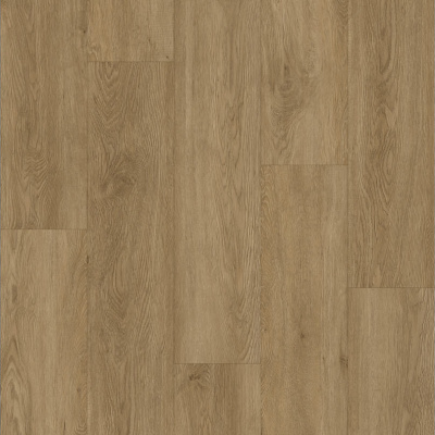 Картинка Almond 14CM04 1