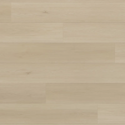 Картинка MSA62 1