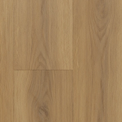 Картинка MSA164 1