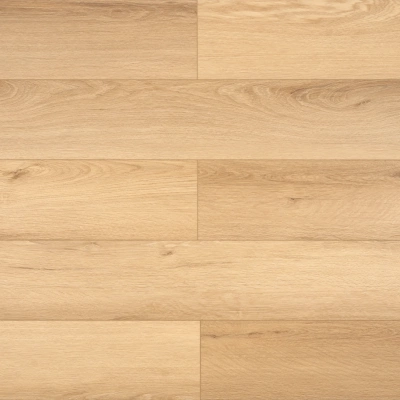 Картинка MSA119 1