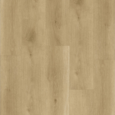 Картинка Savanna 14CM02 1