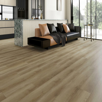 Картинка Siena 25EL26 2