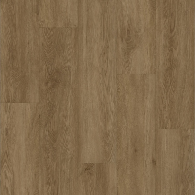 Картинка Caramel 14CM06 1