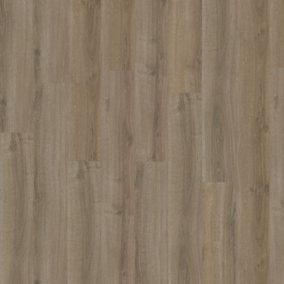 Картинка ADE ETERNA AC SUMMER OAK 05859LG