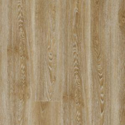 Картинка Scarlet oak 50274