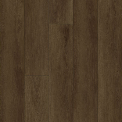 Картинка Chestnut 25EL30 1