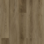 Мини-картинка Winchester 25EL27 3