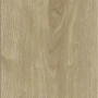 Мини-картинка M1019 3