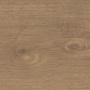 Мини-картинка Дуб Савона Натур 3