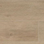 Мини-картинка Дуб Венето Кремовый 3