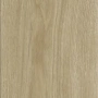 Мини-картинка M1019 3
