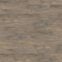 Мини-картинка Дуб балеарский дикий DLC00078 2