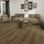 Мини-картинка Sherwood 25EL25 3